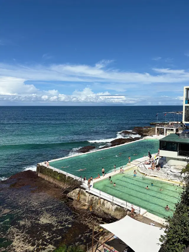 墨爾本旅遊：自然、海灘與野生動物體驗