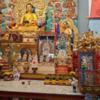 Finding Peace at Gandantegchinlen Monastery
