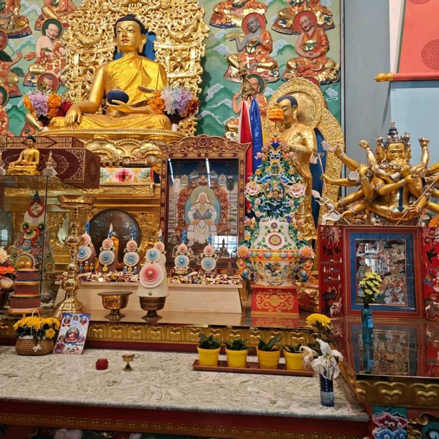 Finding Peace at Gandantegchinlen Monastery