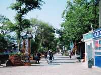 เดินเล่นในเมืองเก่าลี่เจียง