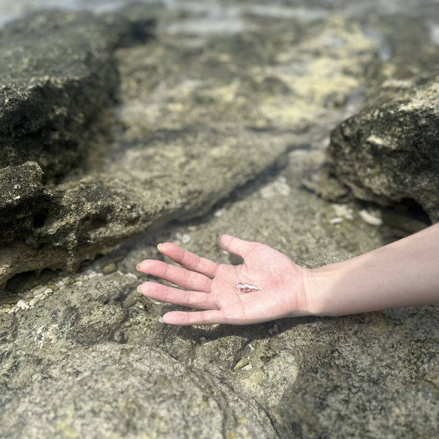 ナガンヌ島