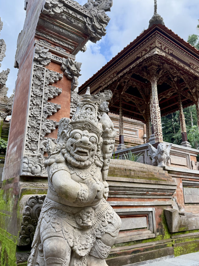 🌾 Morning Bliss in Ubud’s Green Heart 🌾 Morning Bliss in Ubud’s Green Heart