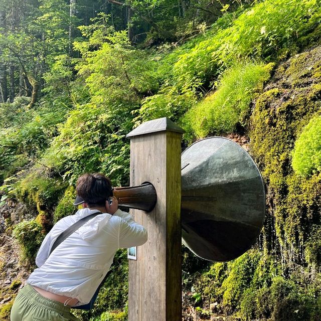 알프스보다 아름답다? 오스트리아의 비밀 호수, 고사우 호수 알프스보다 아름답다? 오스트리아의 비밀 호수, 고사우 호수