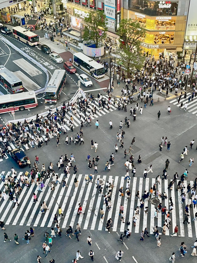 🌇 Secret Sunset Spot in Shibuya – The Best View of the Crossing