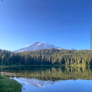 Mount Rainier National Park (WA)