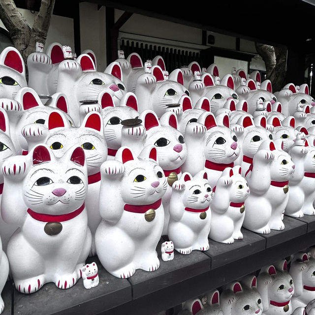 My Solo Pilgrimage to Tokyo's Lucky Cat Kingdom My Solo Pilgrimage to Tokyo's Lucky Cat Kingdom