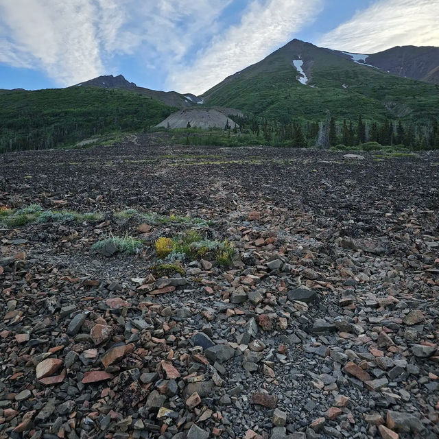 Kluane National Park and Reserve 🏔️❄️ Kluane National Park and Reserve 🏔️❄️