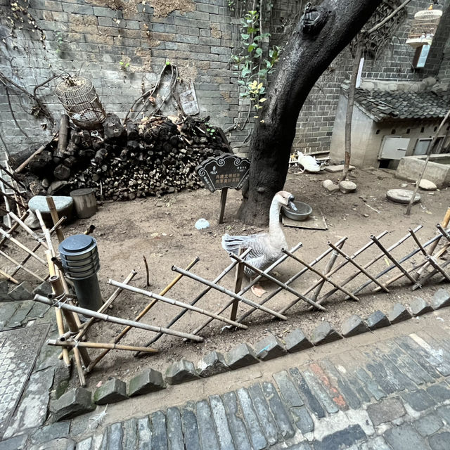 🏯 Gaojia Dayuan — A Window into Xi’an’s Old Courtyard Life 🏯 Gaojia Dayuan — A Window into Xi’an’s Old Courtyard Life