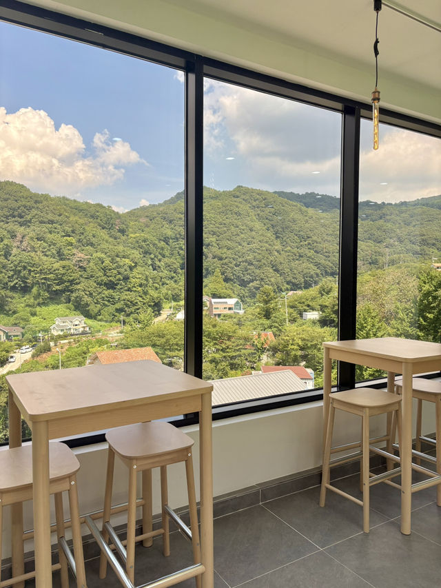 🌲파노라마 숲이 보이는 브런치 카페 반려견 동반가능🐶