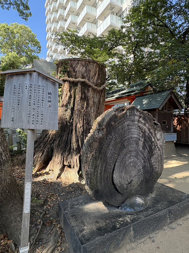 《神戶生田神社|紅色鳥居下的浪漫與歷史巡禮》 	《神戶生田神社|紅色鳥居下的浪漫與歷史巡禮》