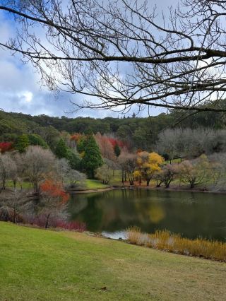 Mount Lofty Botanic Garden – Adelaide Hills, Australia
