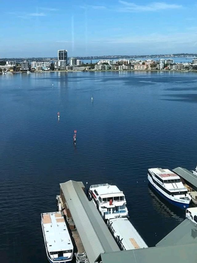 🌊🌅 Scenic Bliss at Swan River Foreshore, Perth! 🏞️✨