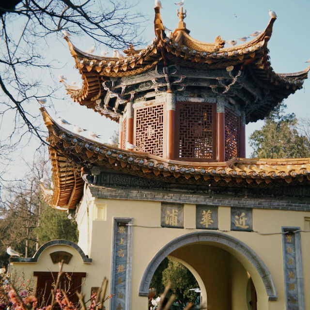 Living Couplet of Nature and Heritage