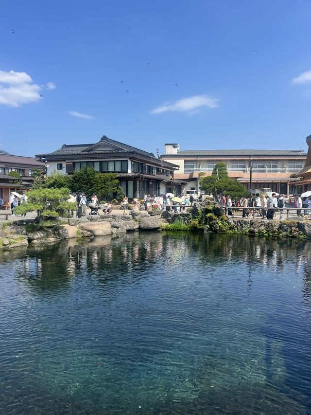 🌸 From Tokyo Streets to Fuji Peaks: A Journey to Remember 🇯🇵