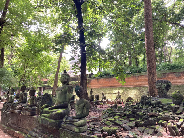 เที่ยว “วัดอุโมงค์” ฟิลฤดูฝน เขียวชื่นใจ  เที่ยว “วัดอุโมงค์” ฟิลฤดูฝน เขียวชื่นใจ