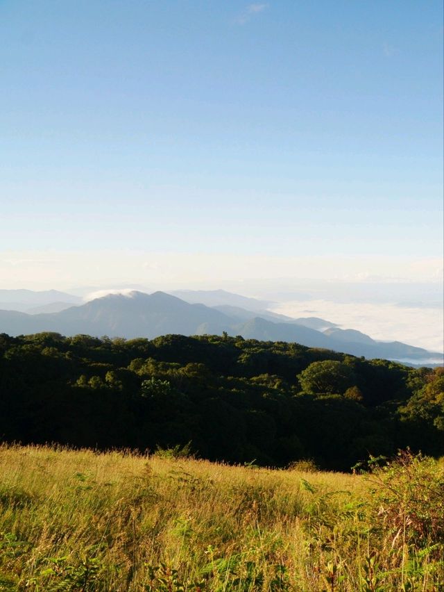 🌳 : Kew Mae Pan nature trail กิ่วแม่ปาน เชียงใหม่