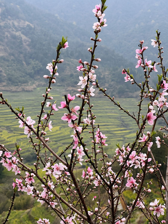 🍂✨ Huangling: The Village in the Clouds ✨🍂