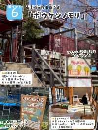 完全無料で遊具大充実の公園