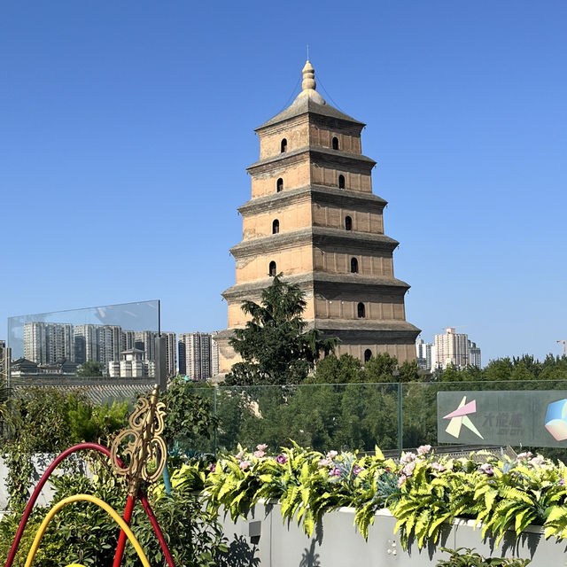 🕰 Day Trip in Xi’an — From Tang Dynasty Heritage to Modern Lights