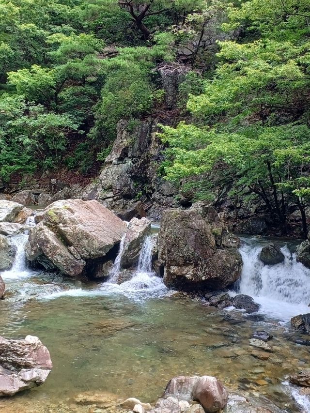 더위가 순식간에 사라지는 기분 더위가 순식간에 사라지는 기분