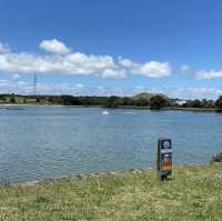 Onehunga Bay Reserve – Lagoon, Beach & Recreation by the Harbour