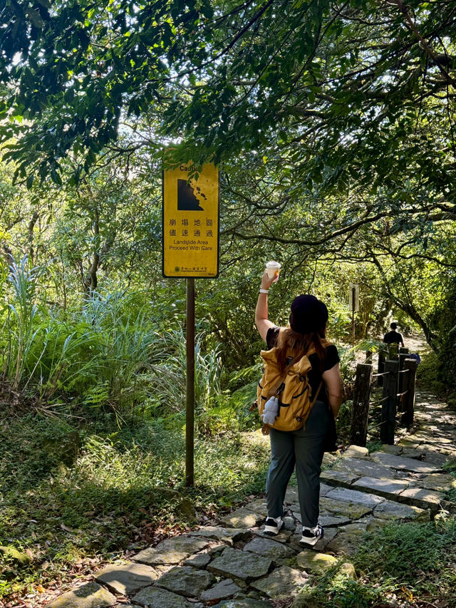 Escape to YangMingShan (QingTiangGang & LengShuiKeng) 🍃🌳