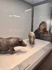 🏯✨ Unveiling Taipei’s Treasures: Why the Palace Museum Is a Must-See