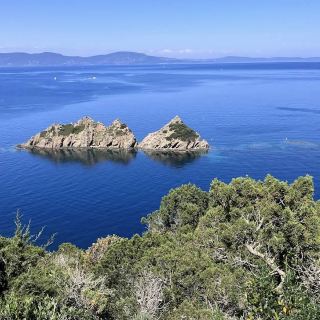 Островная дикая природа в национальном парке Порт-Кро