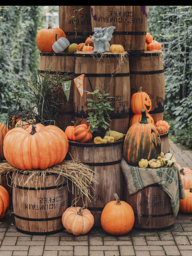 仮装して訪れたいスポット🎃横浜イングリッシュガーデン『ハロウィン・ディスプレイ』 仮装して訪れたいスポット🎃横浜イングリッシュガーデン『ハロウィン・ディスプレイ』