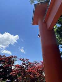 【秋日限定】淺間公園的夢幻畫面