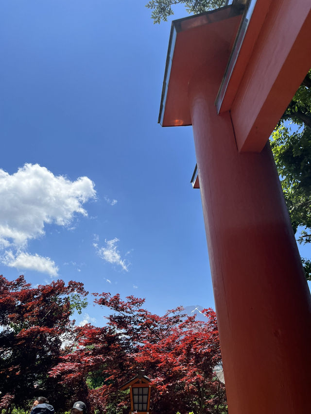 【秋日限定】淺間公園的夢幻畫面