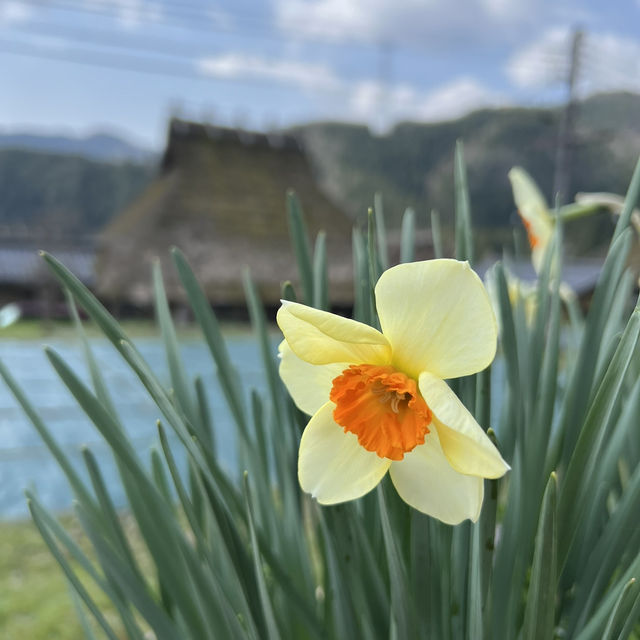 🇯🇵 Kayabuki No Sato