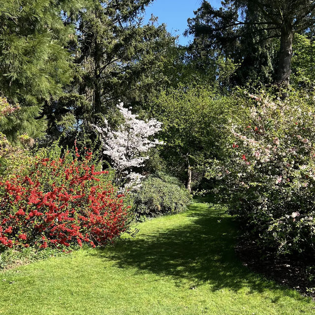 Arboretum Kalmthout