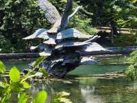 Singapore Botanic Gardens