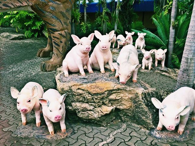 🌴 泰國🇹🇭東芭樂園「花園裡的熱帶奇幻世界」