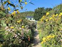 Claude Monet's House and Gardens - Giverny
