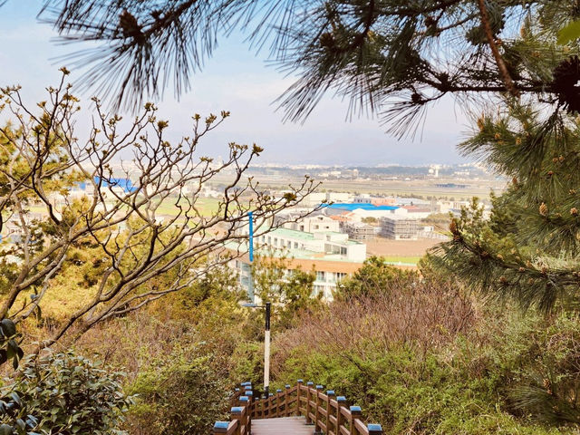 The Ultimate Quick Reward View