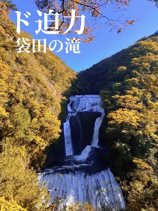 일본 3명 폭의 하나 단풍과 박력의 폭포의 흐름