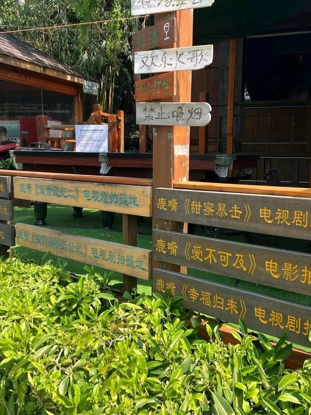 深圳鹿嘴山莊打卡攻略|《美人魚》拍攝地直擊✨海景洞穴+交通貼士 深圳鹿嘴山莊打卡攻略|《美人魚》拍攝地直擊✨海景洞穴+交通貼士