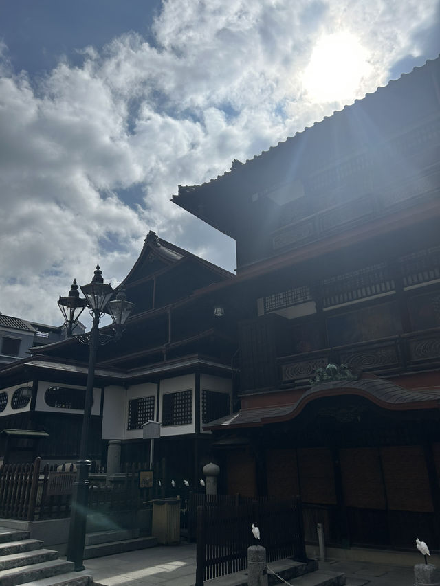 요즘핫한 일본소도시 마쓰야마!