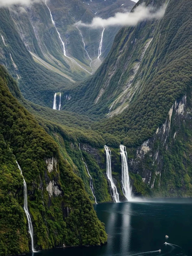 Nature Dreamland🌿