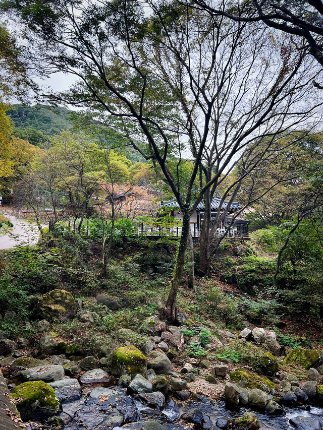 고즈넉한 산사에서 사색하며🦋