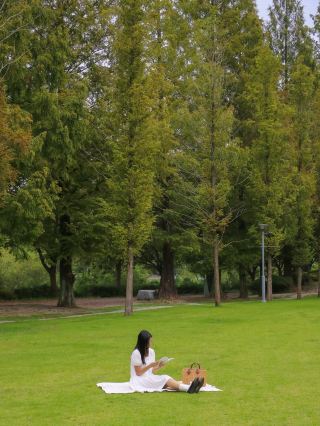  전주의 숨겨진 피크닉 스팟, 이런 순교성지는 어때요? 