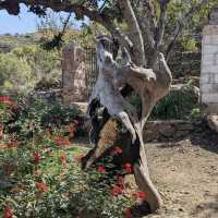 Botanical Garden of Crete