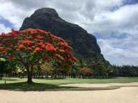 Paradis Golf Club Beachcomber 