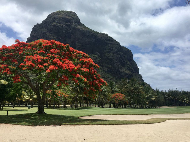 Paradis Golf Club Beachcomber 