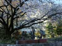 สวยตรงปกไม่จกตา ต้อง Toyama Asahi funakawa 
