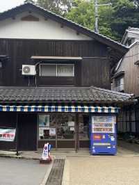 京都近郊好去處🌊伊根町水上舟屋靚景打卡必去✨