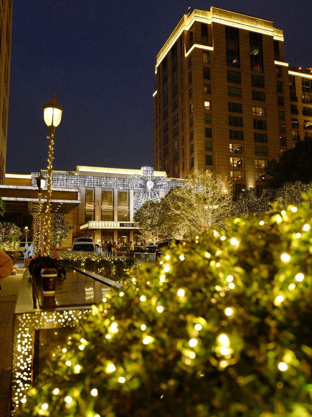 🌃The Bund เซี่ยงไฮ้ | ชมหอคอยไข่มุกยามค่ำคืน 🇨🇳 🌃The Bund เซี่ยงไฮ้ | ชมหอคอยไข่มุกยามค่ำคืน 🇨🇳