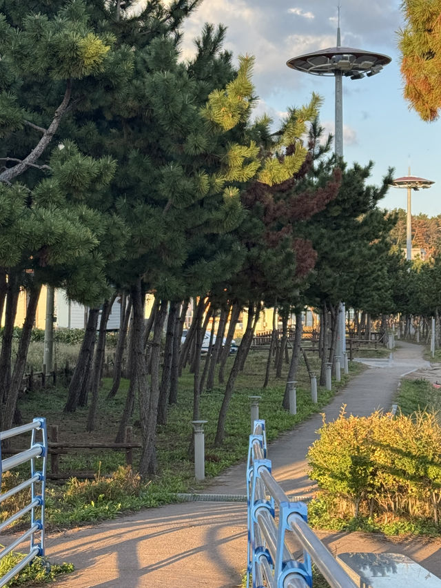 ๐ ํ๊ฐ์์ ๊ณ ์ฆ๋ํ ๋ฐ๋ค ๋ง์ โ ๊ฒฝ์ฃผ ์๋จ๋ฉด ์ถ์์ฌํ ๊ฐ์ด๋ ๐ ํ๊ฐ์์ ๊ณ ์ฆ๋ํ ๋ฐ๋ค ๋ง์ โ ๊ฒฝ์ฃผ ์๋จ๋ฉด ์ถ์์ฌํ ๊ฐ์ด๋